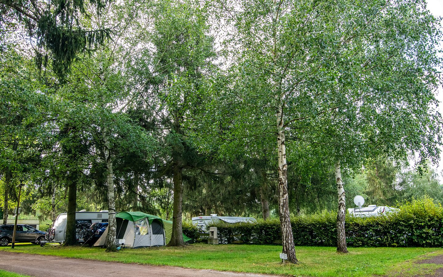 Cette image montre un camping situé dans un environnement boisé avec de nombreux arbres verts. On y voit plusieurs carav